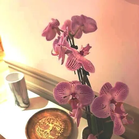 아파트 Luxury Republique *